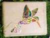 HUMMINGBIRD_STEPPING_STONE
