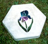 IRIS-STEPPING-STONE