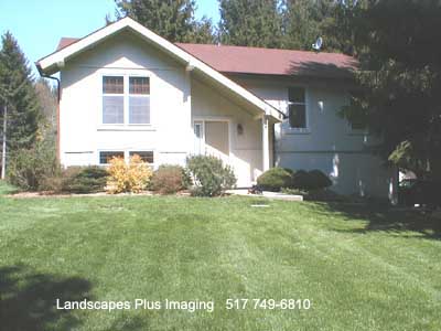 Before_Image