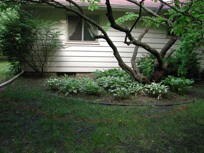 Before_Image