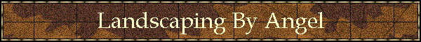 Landscaping By Angel