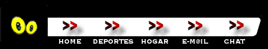 La netvista, la nueva forma de ver Internet