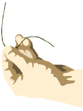 img_pelucabello.gif (4005 bytes)