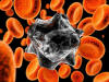 Virus  640*480