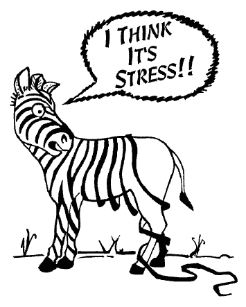 Stress-ZebraStripes.gif