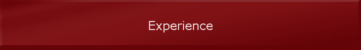 Experience