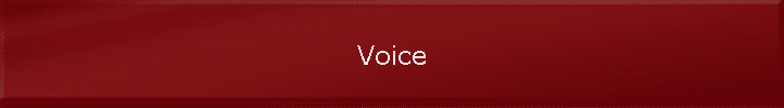 Voice