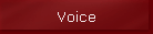 Voice