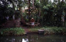 066.Backwaters-Fish_hunter.jpg