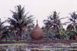 078.Backwaters-Hay_drying.jpg