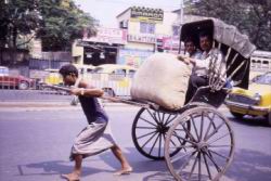 194.Calcutta-Rickshaw.jpg