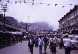 201.Darjeeling.jpg