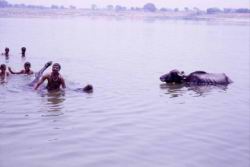 271.Varanasi-Ganga.jpg