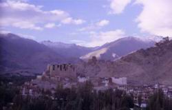 378.Leh.jpg