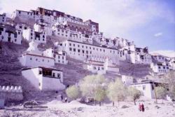 405.Tikse_Gompa.jpg