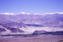 415.Trekking_Spituk_to_Stokla.jpg