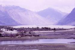 439.Nubra_Valley_Desert.jpg