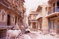 479.Jaisalmer.jpg