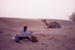 485.Jaisalmer-Sam_Camel_Safari.jpg