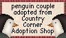 penguin couple certificate