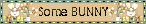 ctbunnyluv.gif