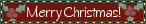 ctchristmasblinkie2.gif