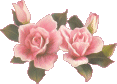 countryrose