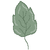 ctleaf1.gif