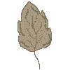 ctleaf3.gif
