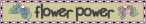 ctflowerpower.giif