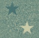 ctgreenspbkgd4.jpg