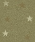 cttstarbkgd4.jpg