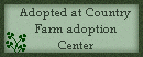 stpattiesbearcert.gif