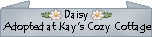 daisycert