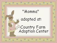 mommabunnycert.gif