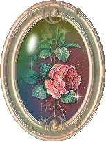 rose2