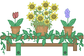 blinkierack