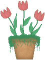 tulips><img src=