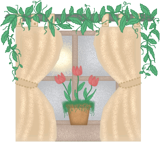 window