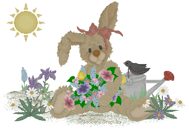 springbunny.gif