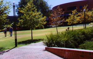 Another View