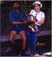 Posing with a wombat