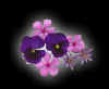 floral002.jpg (10727 bytes)