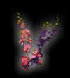 floral004.jpg (10288 bytes)