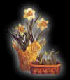floral005.jpg (24994 bytes)