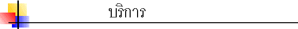 Services