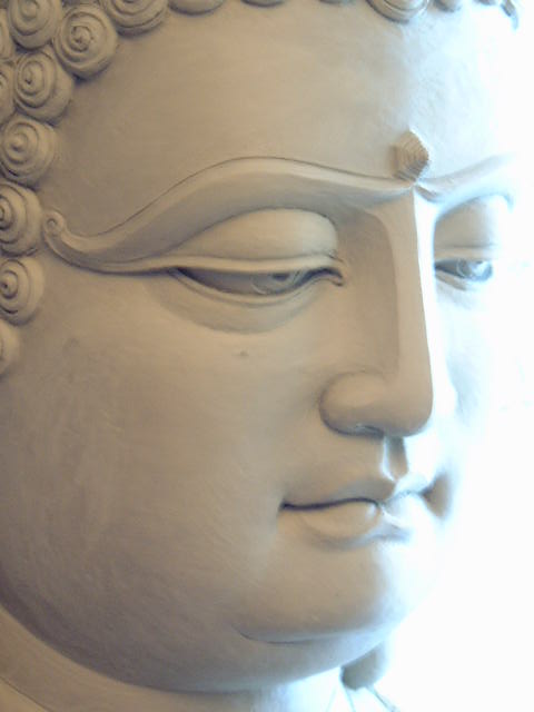 Detail: The Chin