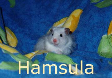 Eik� ole maailman ihanin valokuva? :)