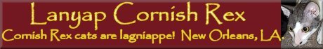 take any banner and link to www.geocities.com/lanyapcats