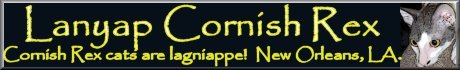 take any banner and link to www.geocities.com/lanyapcats